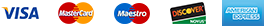Visa, Mastercard, Maestro, Discover, American Express